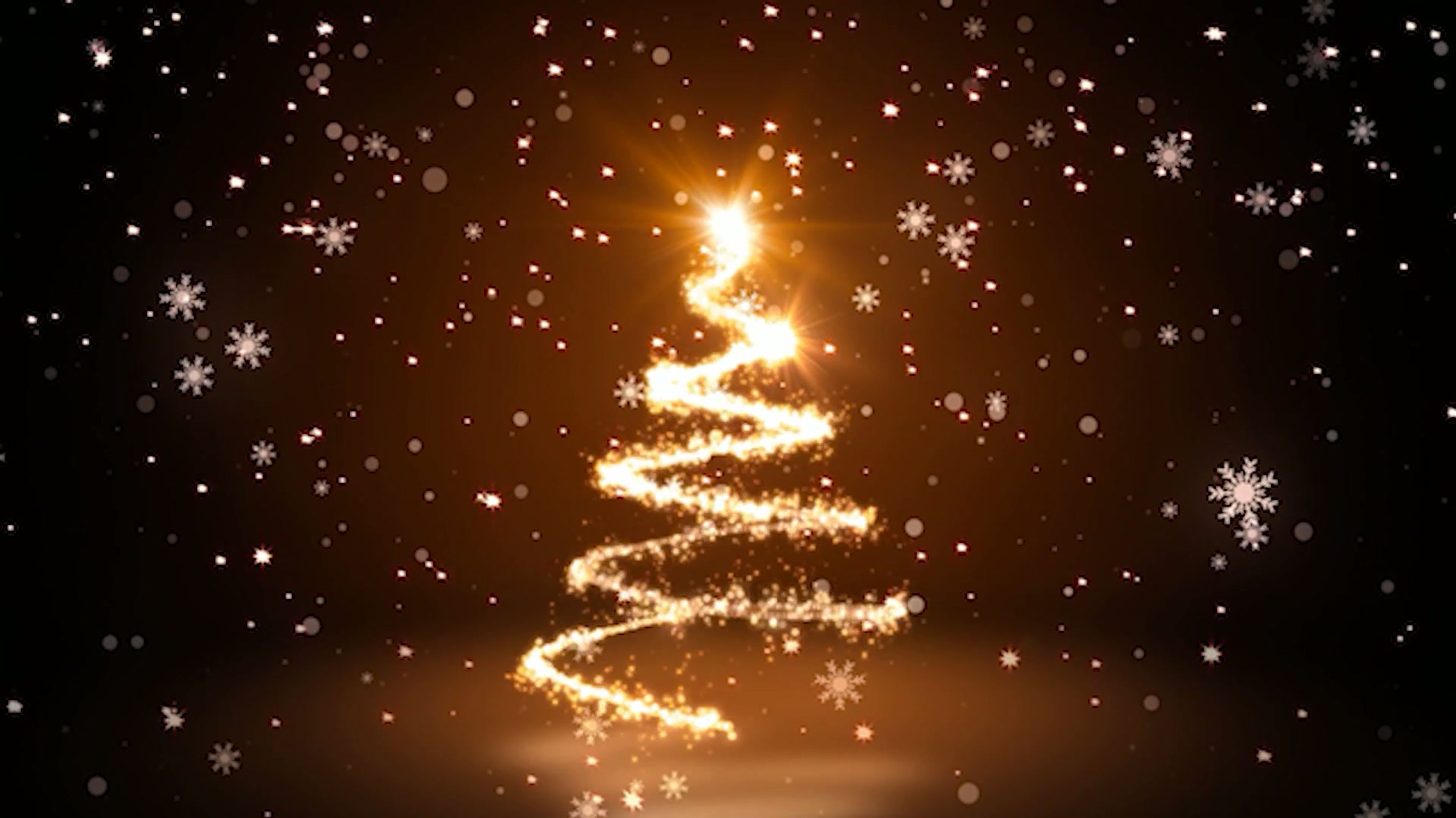 Winter Wonderland | Christmas TDW 2025